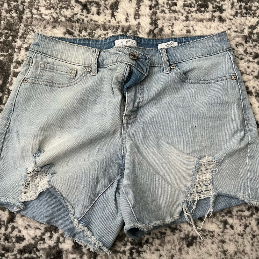 Sofia Vergara Lila Shorts - Size 6